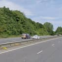 There is a report of a fallen tree on the A24 near Ashington. Photo: Google Street View