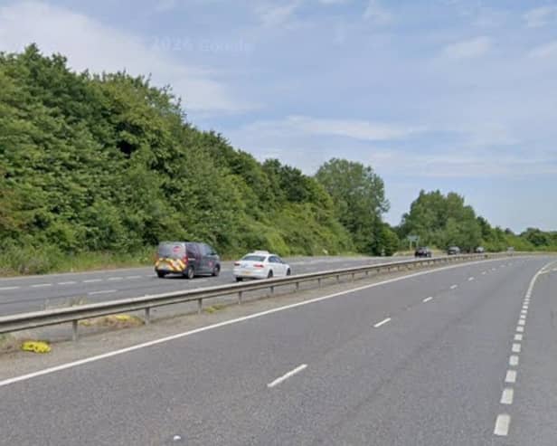 There is a report of a fallen tree on the A24 near Ashington. Photo: Google Street View