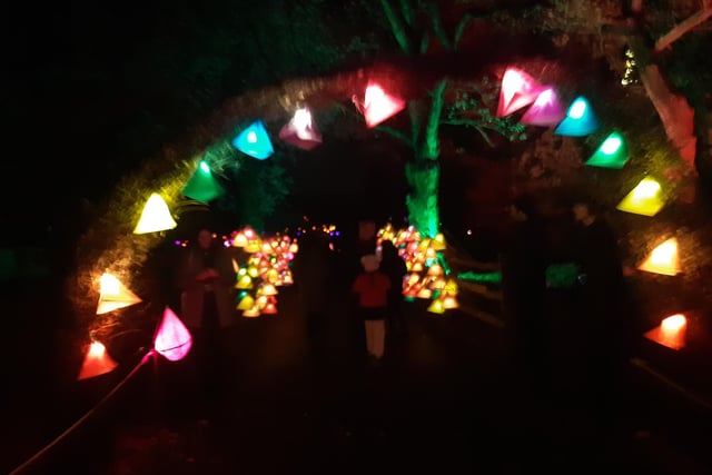 An enchanting winter lantern trail at Wakehurst Place