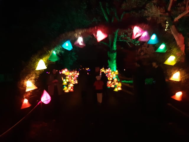 An enchanting winter lantern trail at Wakehurst Place