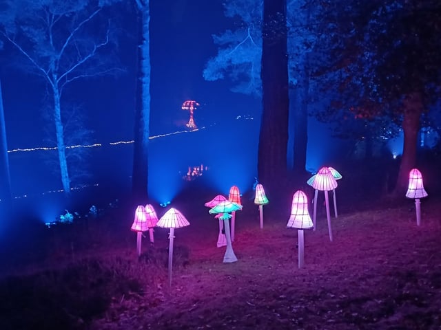 Leonardslee Illuminated is on now and runs on selected dates until December 21, 2023