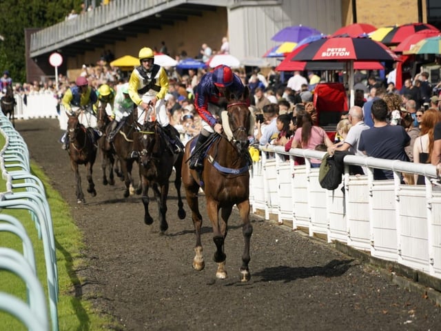 Fontwell Park family fun day September 2024