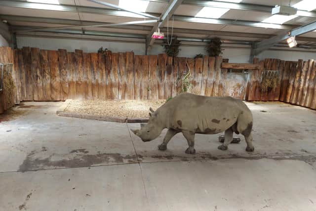 Folly Farm has rhinos