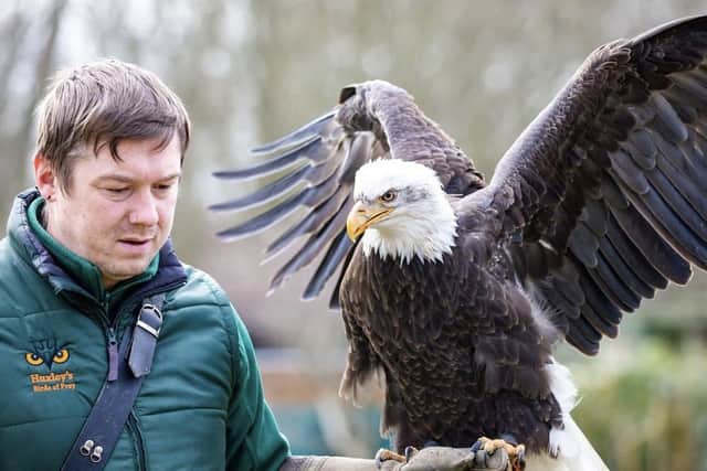 Luke Lloyed with one of the birds at Huxley's Birds of Prey Centre in the grounds of Hilliers garden centre in Brighton Road, Horsham. Photo contributed