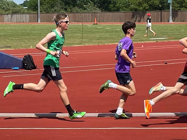 Fin Lumber - Fry - 1500m
