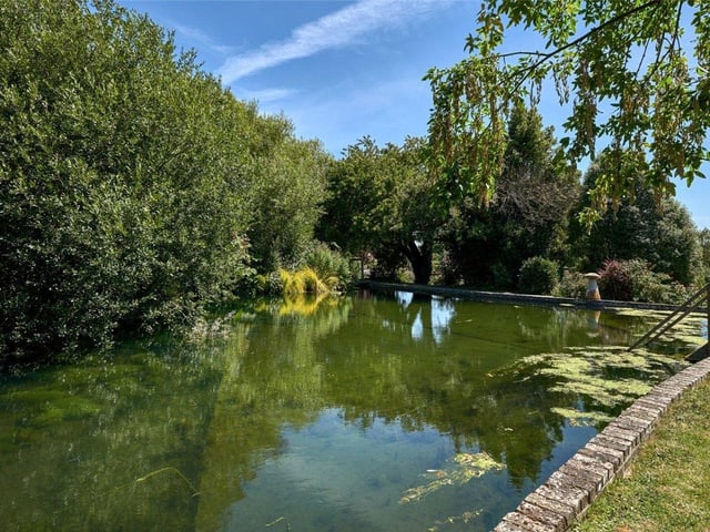 The property posseses this idyllic mill pond