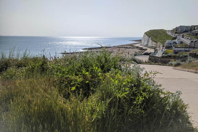 Resorting to the Coast, Sussex Seaside History will be the Heritage Talk for September, by well-known Brighton geographer and local historian Geoffrey Mead. Picture: Elaine Hammond / Sussex World