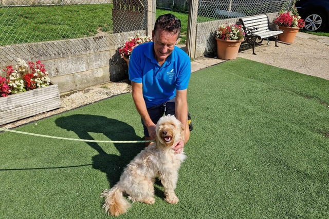 Billy with Coco the Cockapoo who has been affected by the cost of living crisis and had to be rehomed
