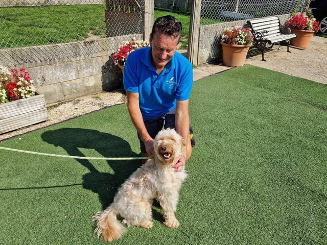 Billy with Coco the Cockapoo who has been affected by the cost of living crisis and had to be rehomed