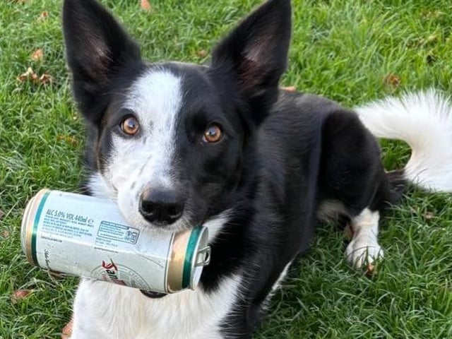 Jess with a beer can