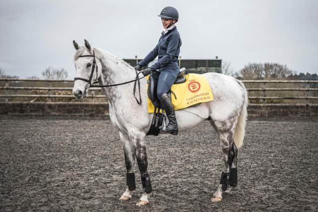 Goodwood Racecourse's new equine ambassador, Magical Memory