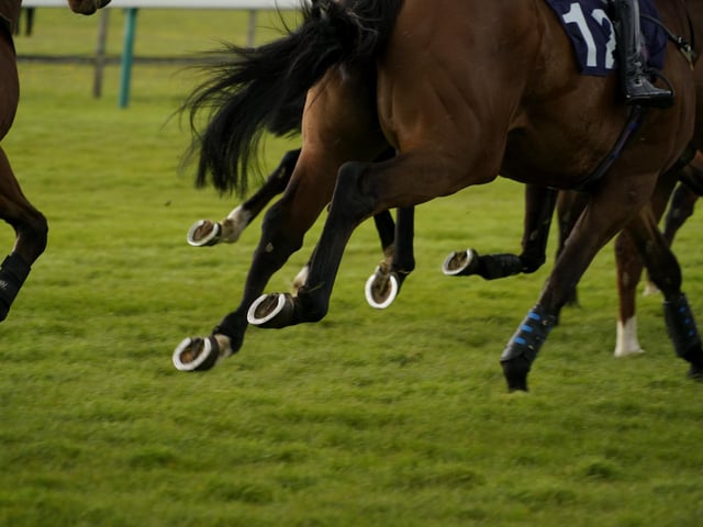 Race 6 The Best Odds Guarenteed At YEEHAA.BET Mares Novices Limited Handicap Hurdle Race at Fontwell on Friday 19 April 2024. www.polopictures.co.uk  Fontwell Arundel Clive Bennett 20240419 ©2024 Clive Bennett Photography 19/04/2024 _CAB1743.JPG:Spring jump racing at Fontwell Park