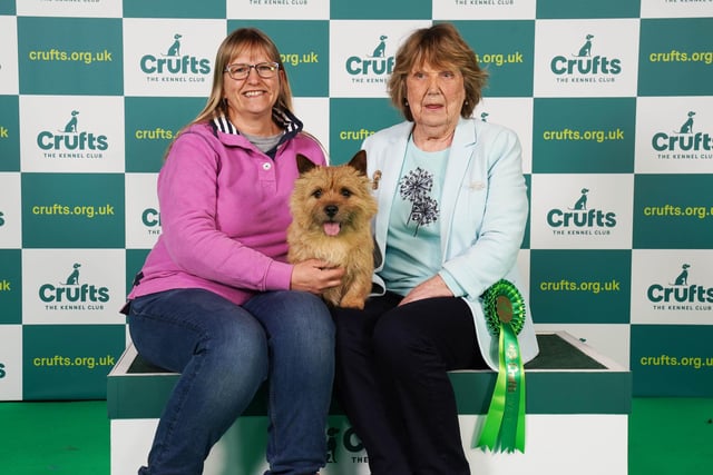 Frances Martin and Janet Lazenby from West Sussex with Bertie, a Norwich Terrier, which was the Best of Breed winner.