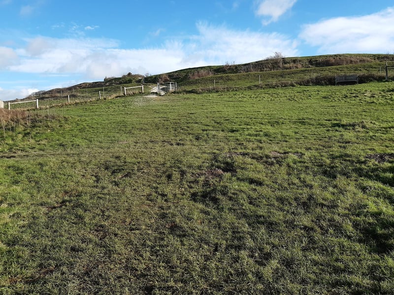 Suddenly, the ramparts of Cissbury Ring come into view and you will see ahead of you the gate you need.