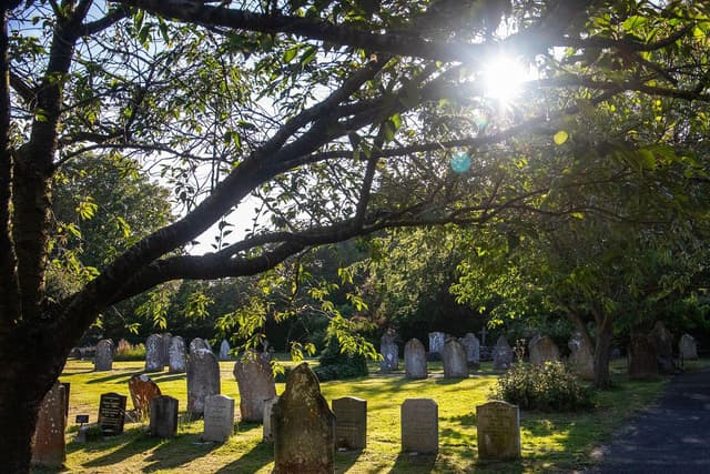 Hailsham Town Council announces upcoming launch of pet cemetery