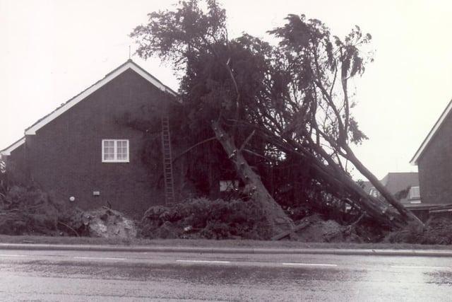 Fallen trees on a home.