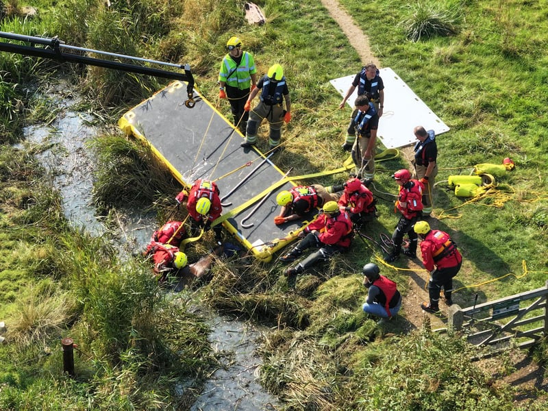 Horse who fell in ditch rescued by West Sussex and Surrey fire crews