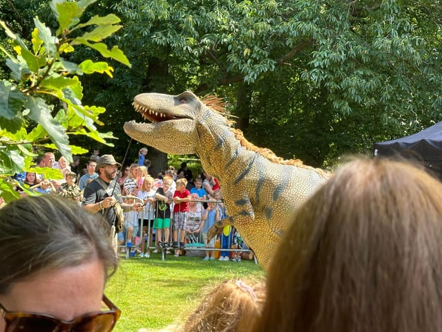 Visitors turned out in their hundreds to see the show.