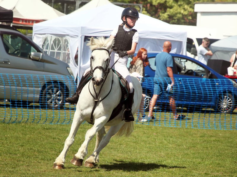 Bexhill Horse Show 2026. Photo by Roberts Photographic