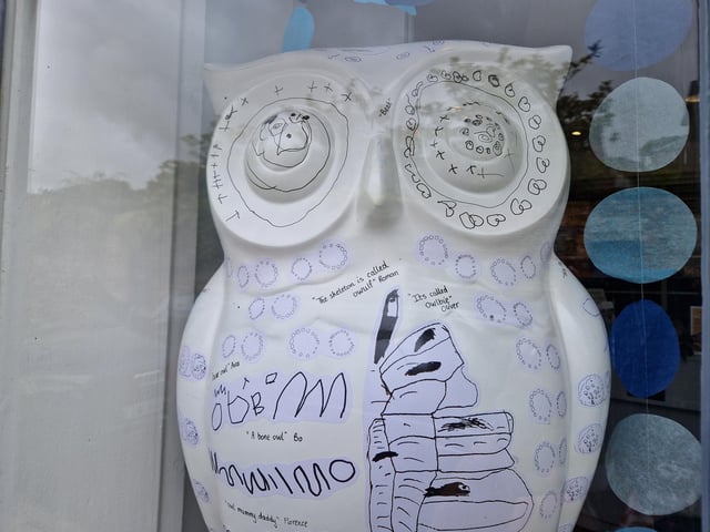 Colourful owls have flown into Arundel as part of the Wild in Art event The Big Hoot trail, raising money for Chestnut Tree House.