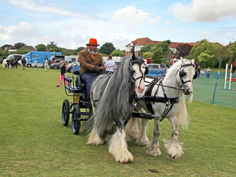 Bexhill Horse Show 2025. Photo by Roberts Photographic.