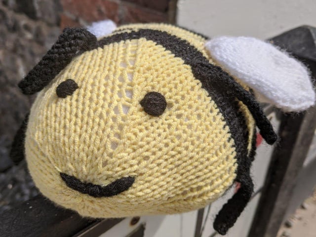 A large bumble bee on the Angmering Village Trail