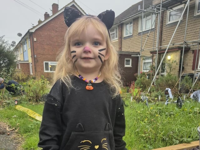 Submitted by Sophie Louise Simmons