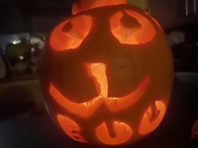 Pumpkin picture provided by Matthew Perfect