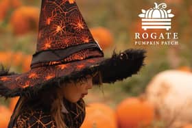 A popular pumpkin patch in Rogate will return this month, with people of all ages invited to pick pumpkins and explore a range of autumn-themed attractions. Photo: Rogate Pumpkin Patch.
