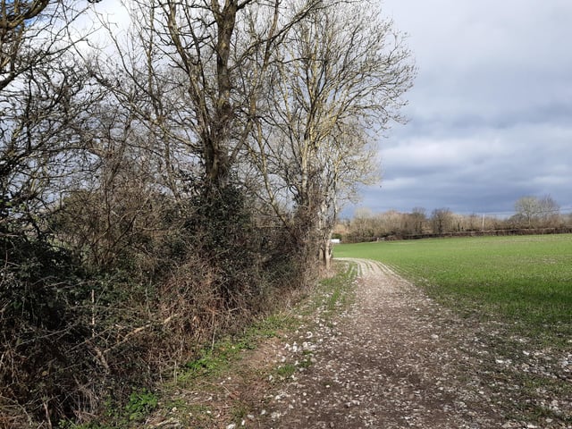 Follow the path around to the left