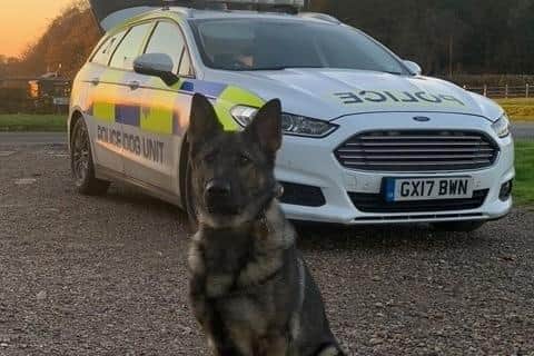 PC Barnatt dedicated his award to police dog Skye, who recently died. Photo: Sussex Police