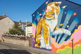 Cat Wall, Johnnie Bassett