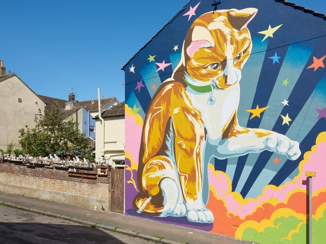 Cat Wall, Johnnie Bassett