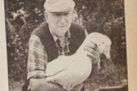 Archie the goose was rescued at Gunters Lane, Bexhill.