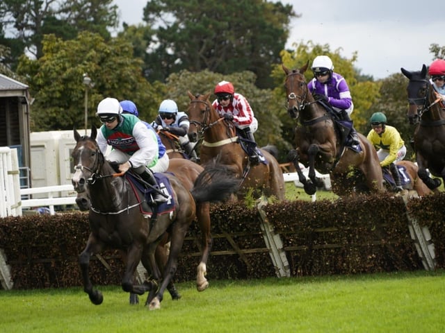 Fontwell Park family fun day September 2024