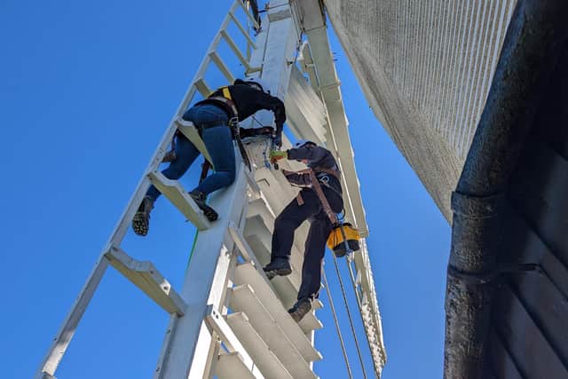 Jill Windmill in Clayton got all four of her sweeps back on Saturday, October 8. Photo: Mikey Farr