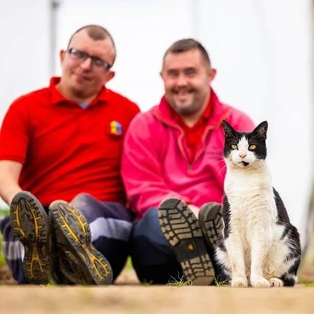 A cat from Chichester who is part of the team at a day centre for adults with learning disabilities has won a prestigious award at the National Cat Awards 2022.