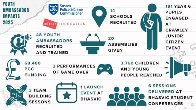 Youth Ambassador Infographic