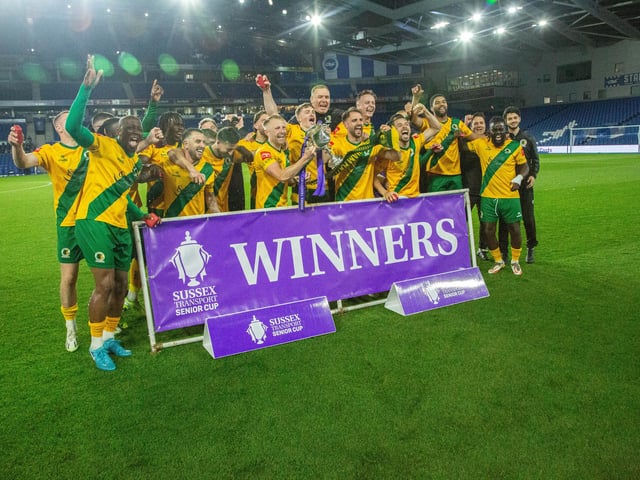 Horsham FC are champions of Sussex again after their last-gasp Sussex Transport Senior Cup final win over Littlehampton Town.