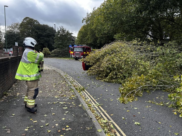 Chichester road blocked due to fallen tree