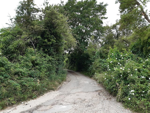 Follow the path a little to the left, away from the railway bridge, then turn right and follow the path around as it bends to the left to go past some houses