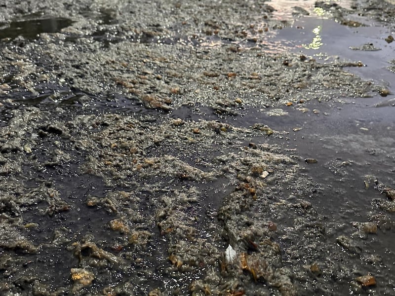 Southern Water has apologised to residents affected by a sewage leak in Southwick – with video footage showing 'raw excrement' covering local roads.