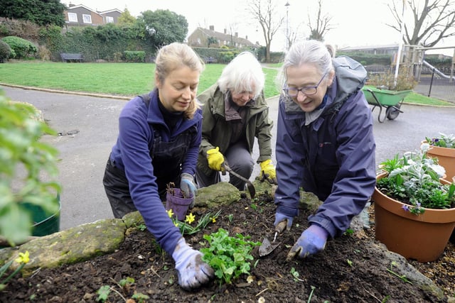 Petworth Gardeners’ Club hard at work in Rosemary Gardens