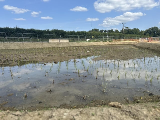 The wetlands consists of several cells.