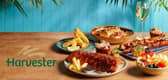 Harvest has deals on via Groupon. Picture: Groupon