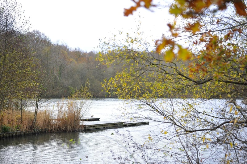 Southwater Country Park is a lovely place to enjoy a stroll - or take part in a number of water sports