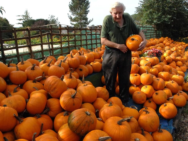 Slindon Pumpkins in 2007