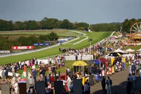 Firday night racing and family fun at Goodwood | Picture: Clive Bennett