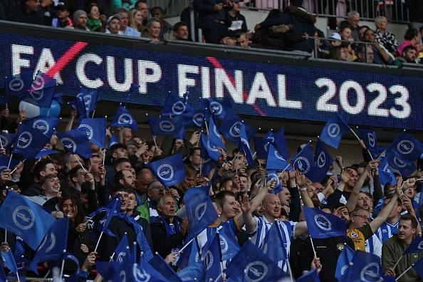 Seagulls at Wembley