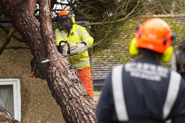 West Sussex fire crews have been working to safely remove the tree from the roof of a house in The Causeway, Pagham.